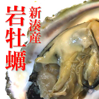 富山の岩牡蠣
