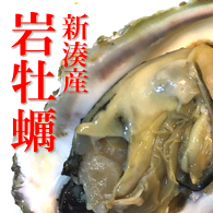 富山の岩牡蠣
